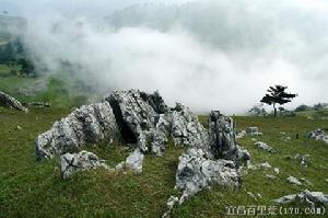 宜昌百里荒內景