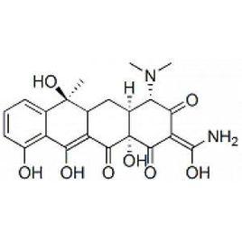 氨醯-tRNA