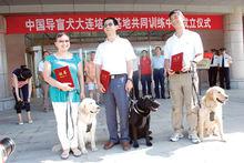 導盲犬珍妮[中國第一位女盲人鋼琴調律師]