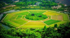 八卦田遺址公園