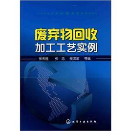 廢棄物回收加工工藝實例