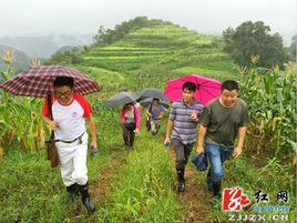 洞溪村[中國湖南省古丈縣岩頭寨鎮下轄村]