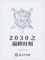 2030之巔峰時刻