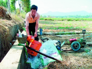 蒼梧縣石橋鎮農民在前兩年打下的田頭井抽水，抗旱保苗