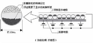 電子墨水