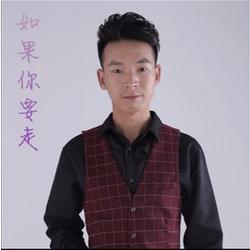 如果你要走[白路恩演唱歌曲]