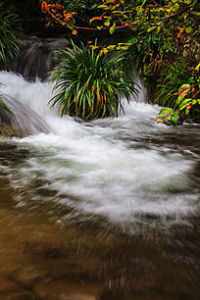 山泉水