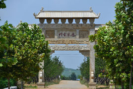 鳳凰村[山東省青島市即墨市金口鎮鳳凰村]