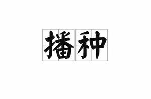 播種[漢語詞語]