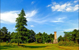 新廠戰役遺址