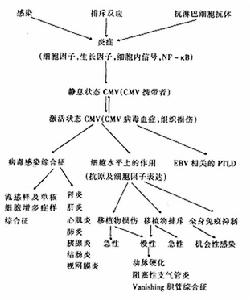 巨細胞病毒感染