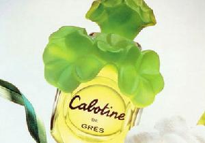 Calotine 歌寶婷