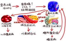 氧化應激是糖尿病的核心