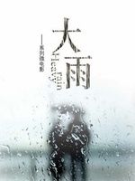 大雨[2012年韓志、石桀銳、黃莉執導電影]