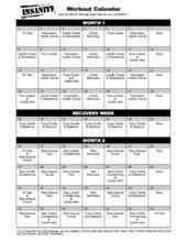 Insanity Workout Calender