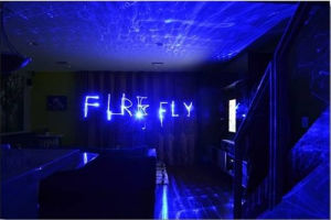 Firefly雷射燈