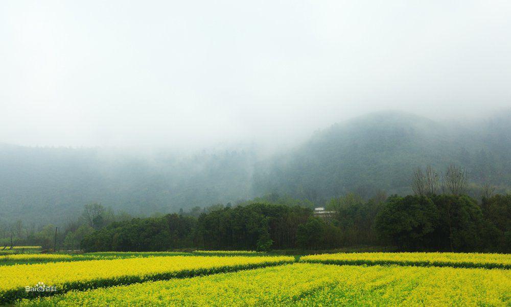 峨橋響水澗