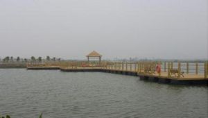 珠海橫琴濱海濕地公園