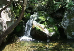 湯旺河石林森林公園