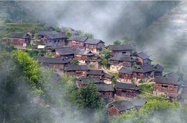 中寨村[雲南省紅河建水縣青龍鎮中寨村]