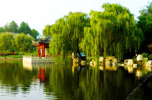 安丘青雲山民俗遊樂園