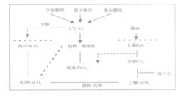 放射性碳