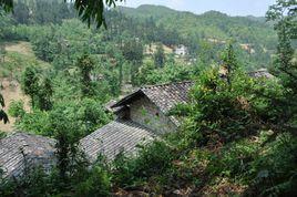 大園子村[雲南臨翔區螞蟻堆鄉大園子村]