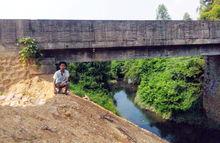 大壩河飛洋橋