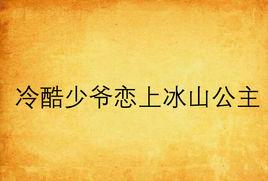 冷酷少爺戀上冰山公主