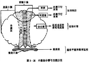 馬查多-約瑟夫病