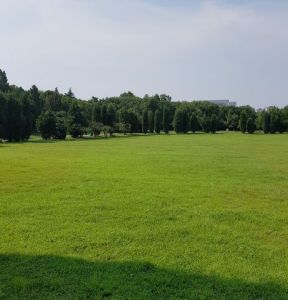 蜀山森林公園