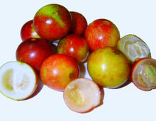 CAMU CAMU FRUIT