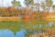 建湖雙湖公園高清組圖