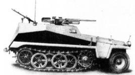 sd.kfz.250半履帶輕型裝甲車族