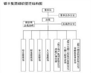 集團構架圖