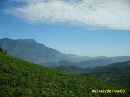 太坪村[四川省峨眉山市龍池鎮太坪村]