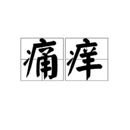 痛癢[漢語詞語]