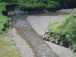 胡家山自然村