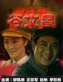 谷文昌[2009年電視劇]