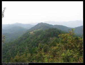 藥山村[湖北省隨州市均川鎮藥山村]