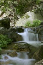 魯山龍潭峽景區風光