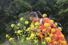 鳳坪村照片