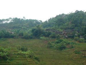 鹼水自然村