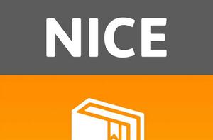 nice[英文單詞]