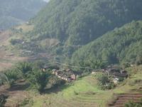 大田自然村[雲南省普洱市墨江縣團田鄉大田自然村]