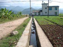 新橋自然村[雲南省永善縣細沙鄉新橋自然村]