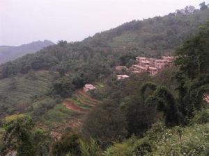 阿路嘎村