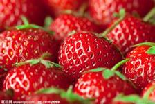 野草莓