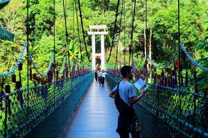 西雙版納原始森林公園