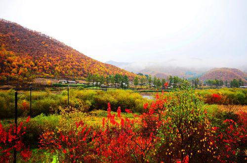 肇岳山國家級濕地公園